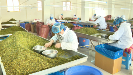 【鄉(xiāng)村行·看振興】高臺(tái) 脫水蔬菜走俏國(guó)際市場(chǎng)，特色產(chǎn)業(yè)賦能鄉(xiāng)村振興